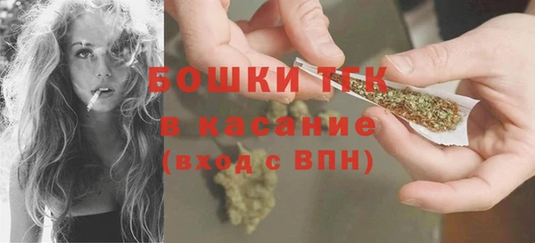 шишки Алексин