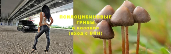 шишки Алексин