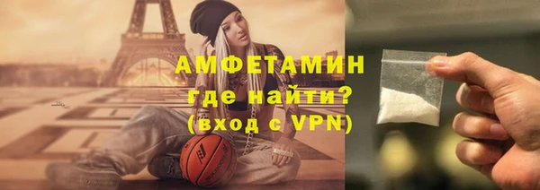 шишки Абаза