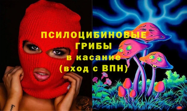 ешки Абинск