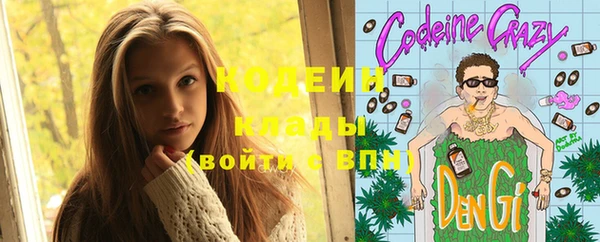 шишки Абаза