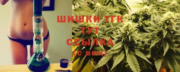 шишки Абаза