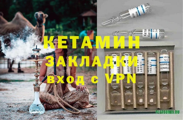 шишки Абаза